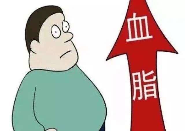 高血脂常表现在腿上
