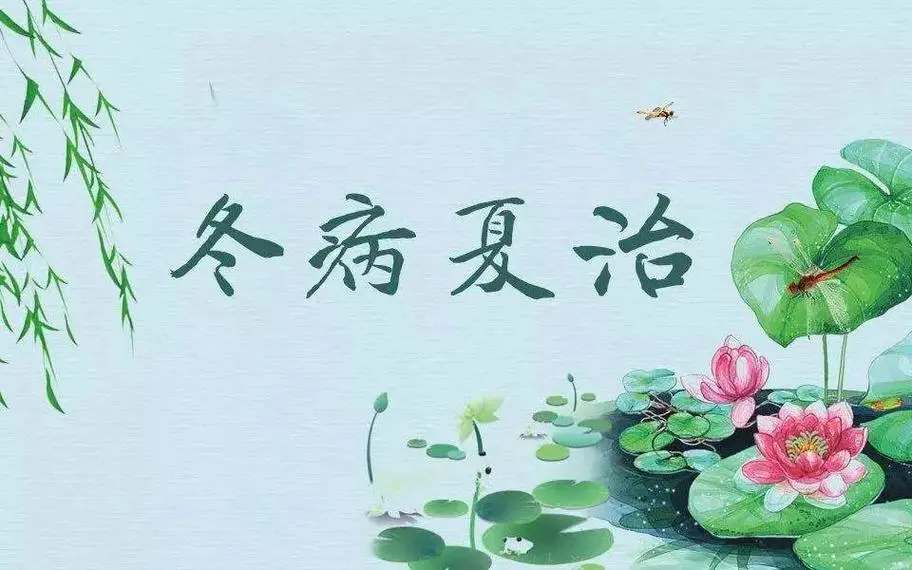 “冬病夏治”正当时 你需要先了解这些知识